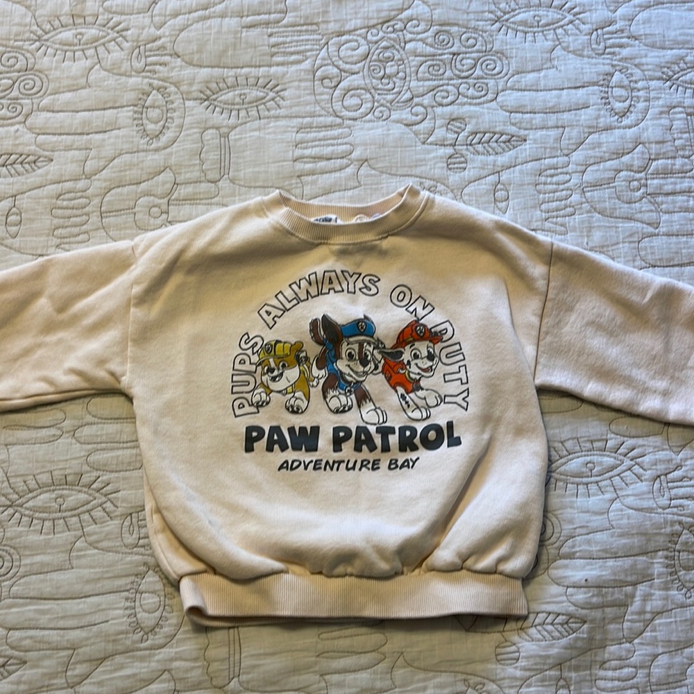 Zara Paw Patrol sweater